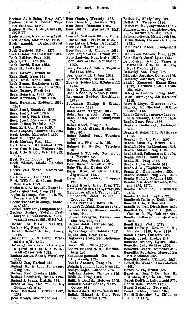 Compass. Finanzielles Jahrbuch 1924, Band V: Tschechoslowakei. - Page 45