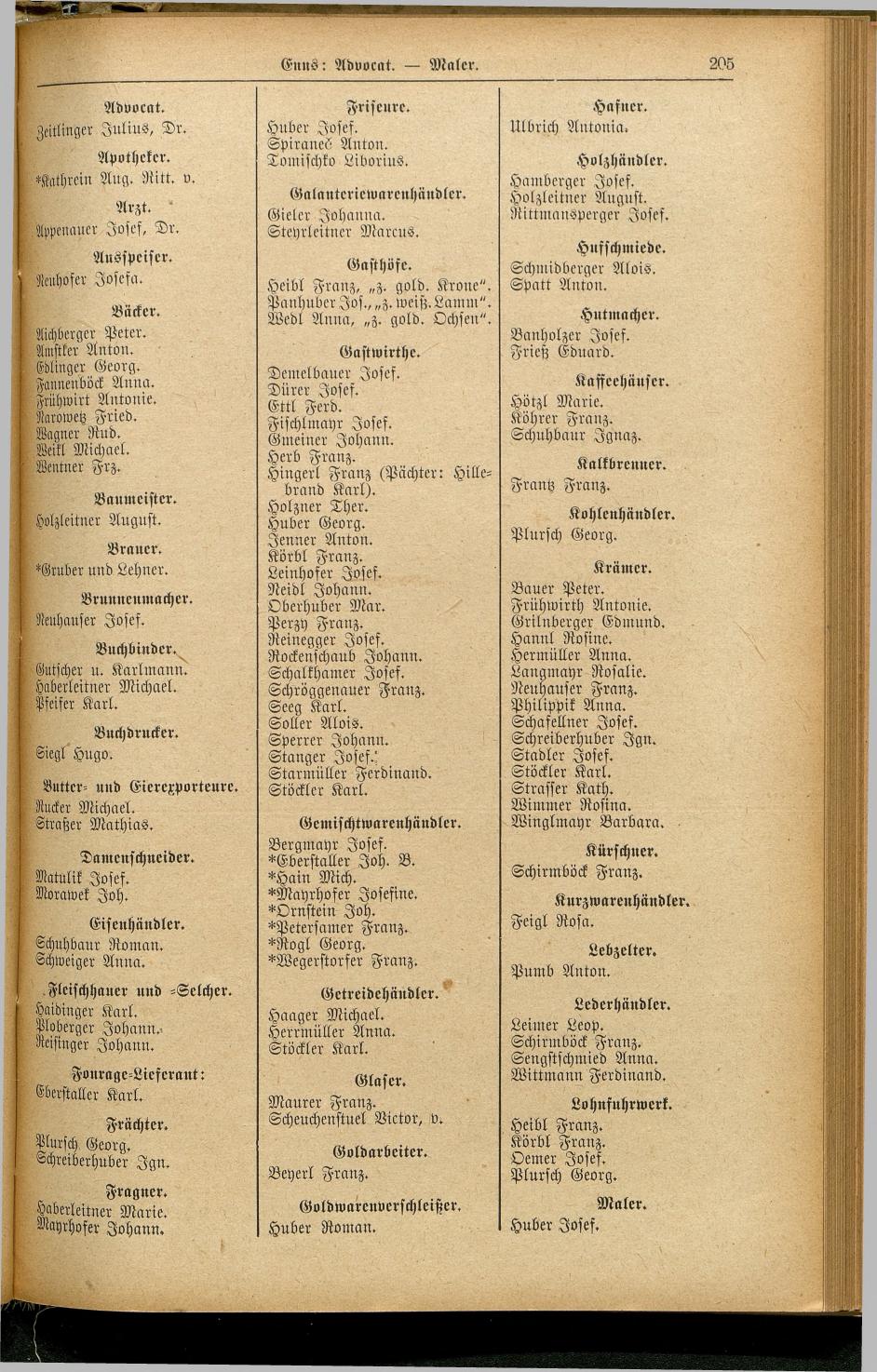 Allgemeines Wohnungs-, Handels- und Gewerbe-Adreßbuch der Landeshauptstadt Linz und der Stadt Urfahr 1894 - Seite 249