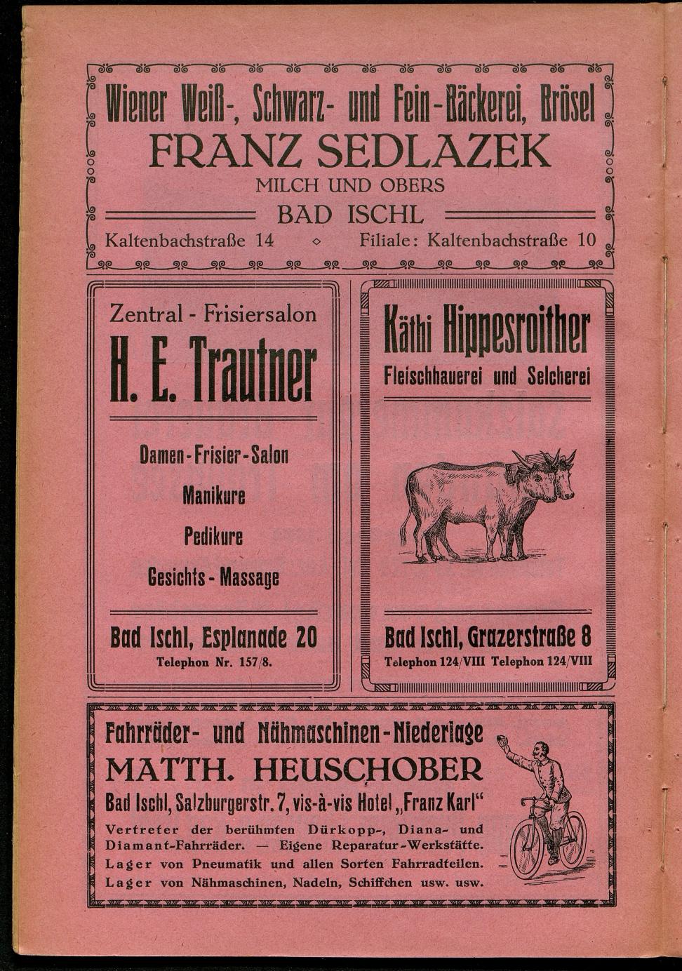 Handels- und Gewerbe-Adressbuch nebst Häuser-Verzeichnis der Kurortsgemeinde Bad Ischl 1925 - Seite 24