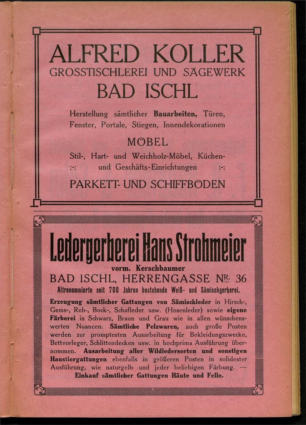 Handels- und Gewerbe-Adressbuch nebst Häuser-Verzeichnis der Kurortsgemeinde Bad Ischl 1925 - Seite 25