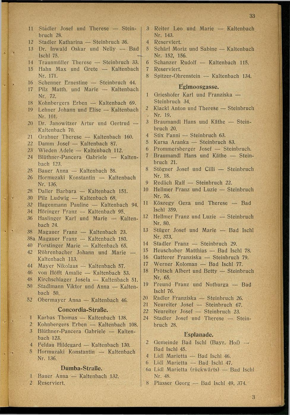 Handels- und Gewerbe-Adressbuch nebst Häuser-Verzeichnis der Kurortsgemeinde Bad Ischl 1925 - Seite 53