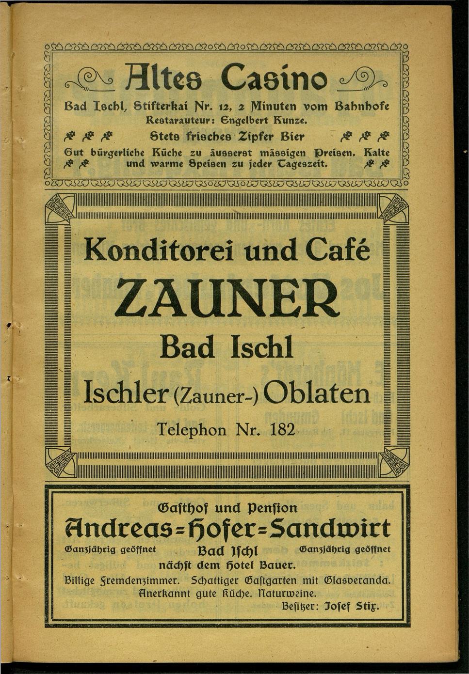 Handels- und Gewerbe-Adressbuch nebst Häuser-Verzeichnis der Kurortsgemeinde Bad Ischl 1925 - Seite 95
