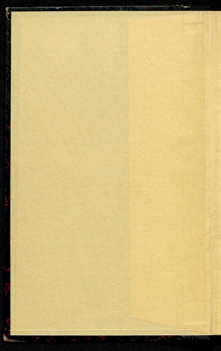 Bürgerbuch des Marktes Ried im Innkreis (Bis 1600) - Seite 2