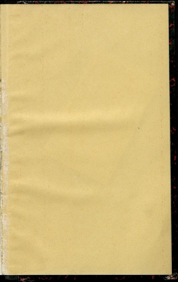 Bürgerbuch des Marktes Ried im Innkreis (Bis 1600) - Seite 89
