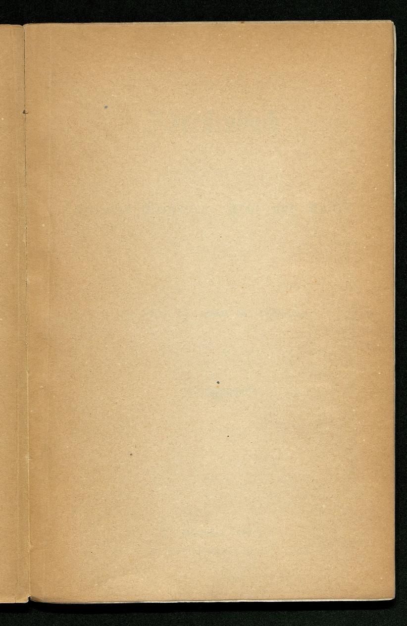 Adressenbuch der Curorte Gmunden, Ischl und Aussee. Ein Führer für Fremde und Einheimische 1873. - Seite 3