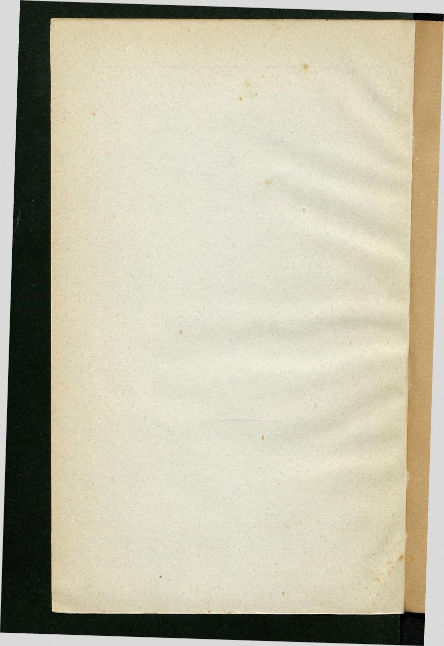 Adressenbuch der Curorte Gmunden, Ischl und Aussee. Ein Führer für Fremde und Einheimische 1873. - Page 56