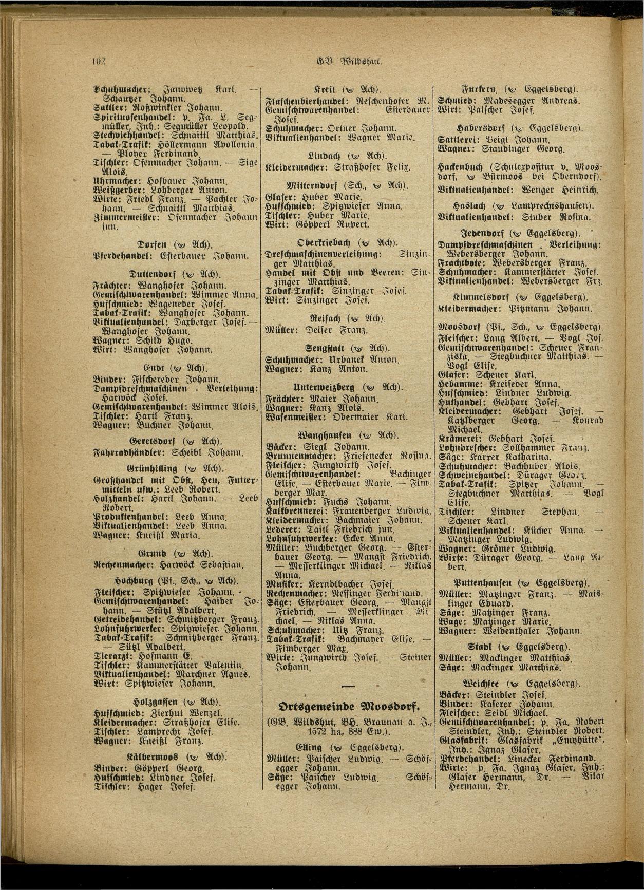 Handels- und Gewerbe-Adreßbuch von Oberösterreich 1923 - Seite 260
