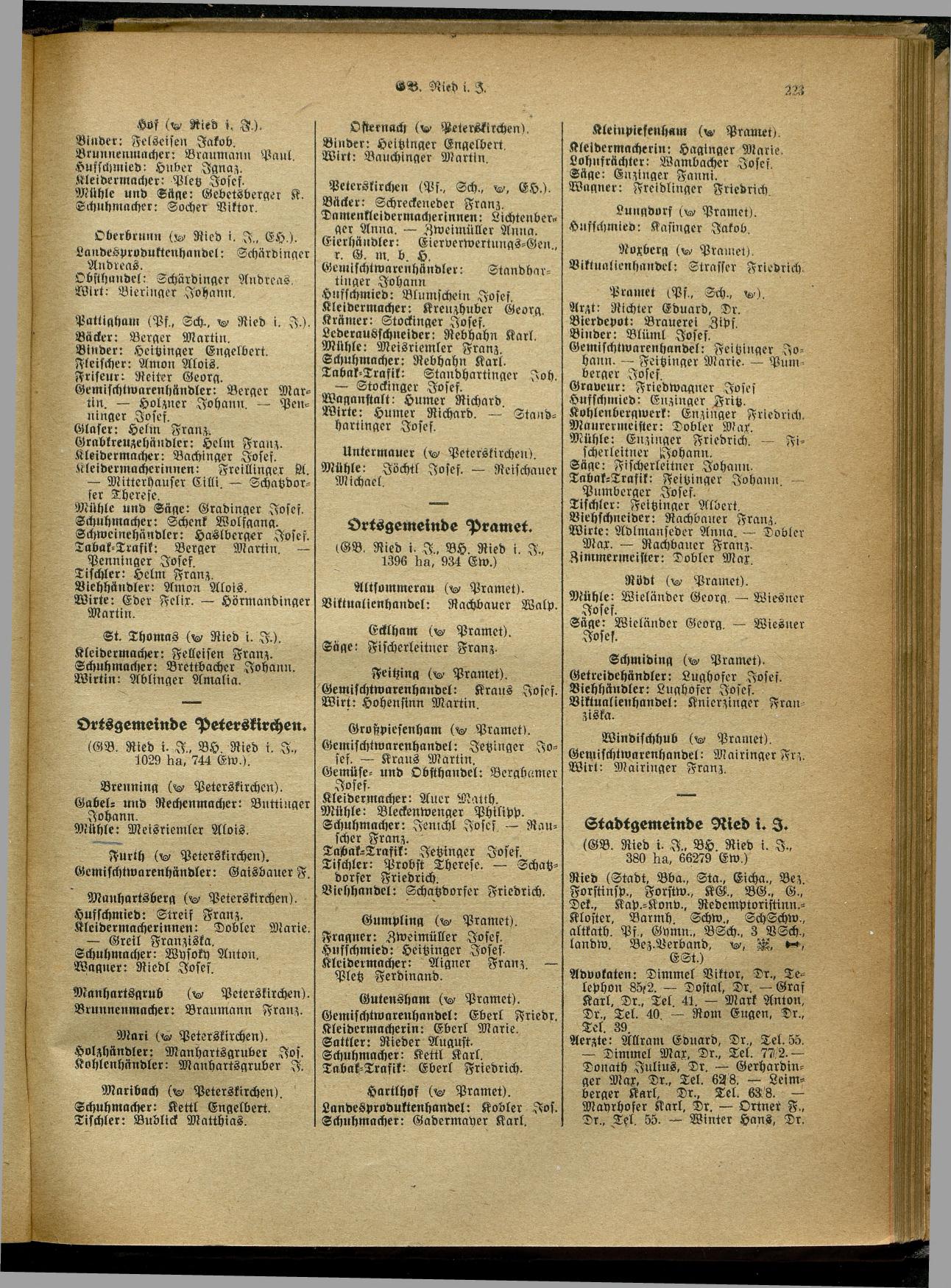 Handels- und Gewerbe-Adreßbuch von Oberösterreich 1923 - Seite 381