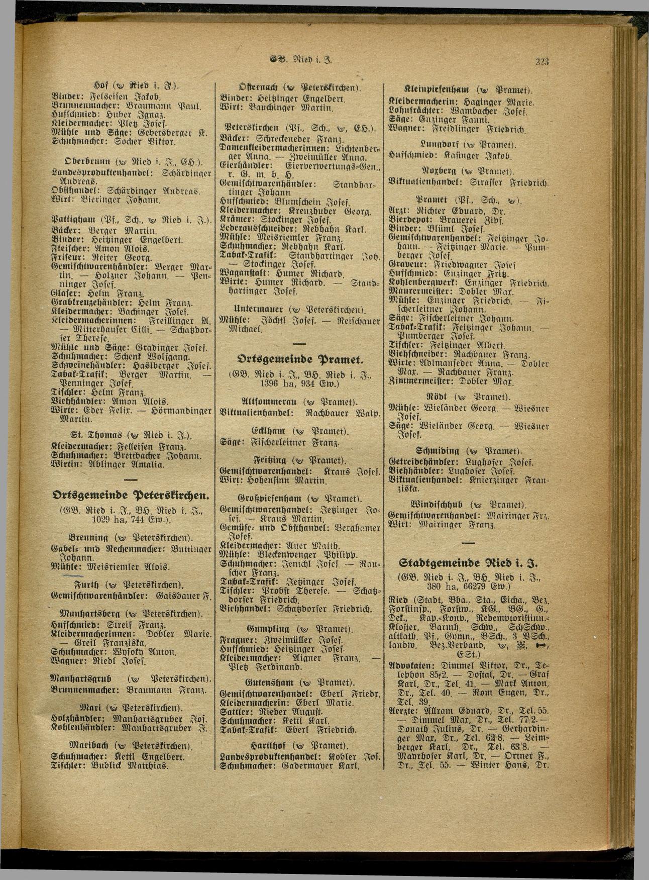 Handels- und Gewerbe-Adreßbuch von Oberösterreich 1923 - Page 381
